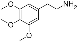 The Active Compounds in Peyote