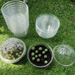Plastic container special cactus germination 3 3/4" (9.5cm) diameter